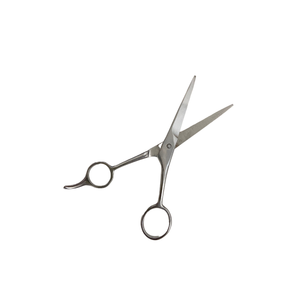 Hair Scissors