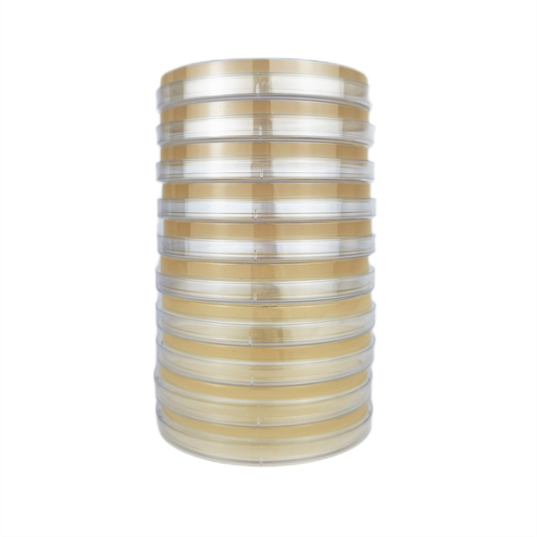 Potato Dextrose Agar Petri Dish for Mushrooms Home