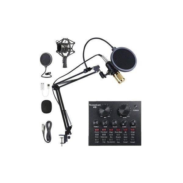 Professional M800 Condenser Microphone Kit With V8 Sound Card -M800V8-WSC