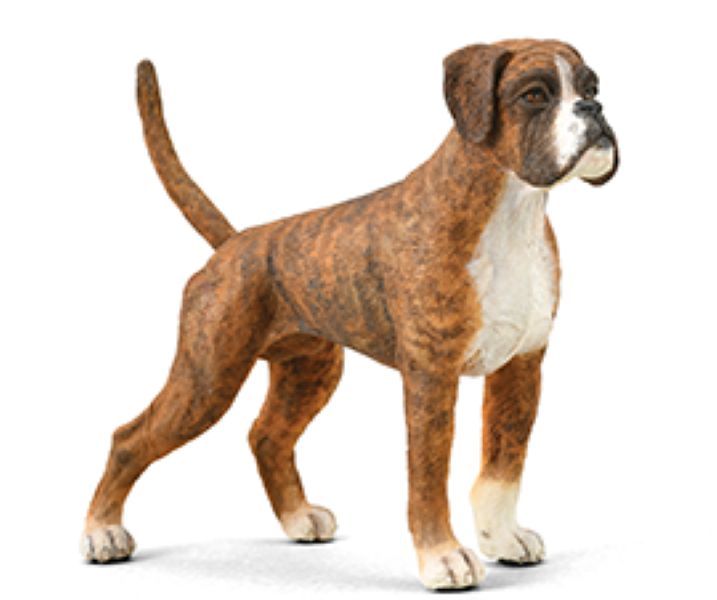 Collecta Cats &amp; Dogs Large Boxer Dog