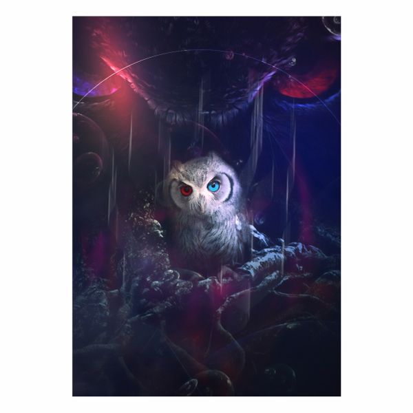Midnight Owl Red and Blue - A1 Poster