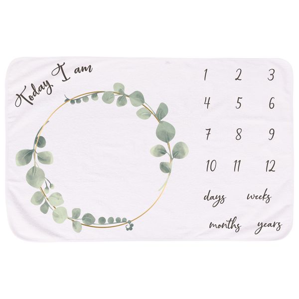 Echo Baby Milestone Blanket Soft Plush Fleece Memory Blanket