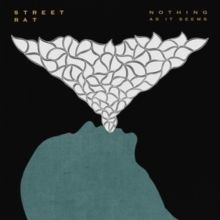 Nothing As It Seems (Vinyl / 12" Album)