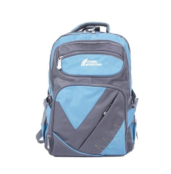 Gray/Blue image