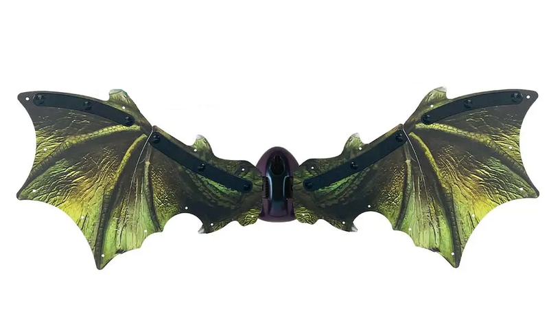 Dinosaur Wings Dress up Wing Set