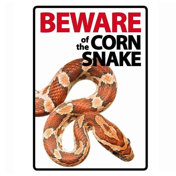 Beware of the Corn Snake