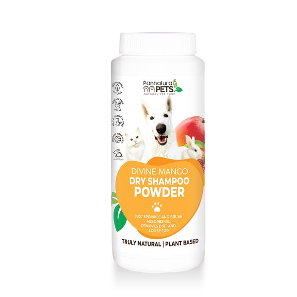 Natural Dry Shampoo Powder - Divine Mango