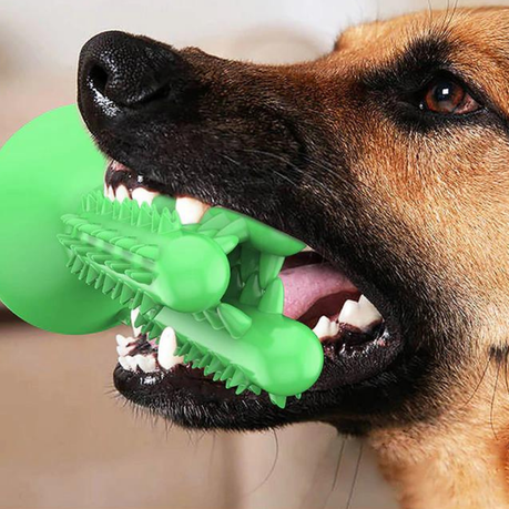 Green dog chew toothbrush sale