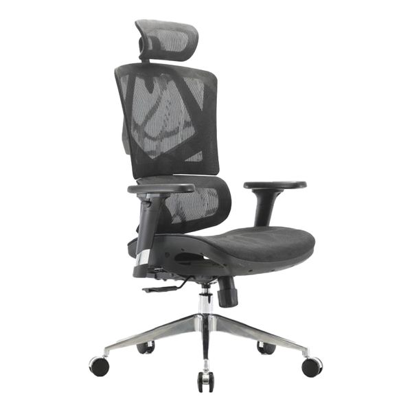 WP Sigma Ergonomic Chair