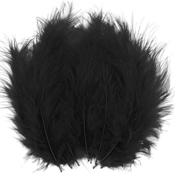 Arts &amp; Crafts Fine Feathers - 16cm (100 Piece)