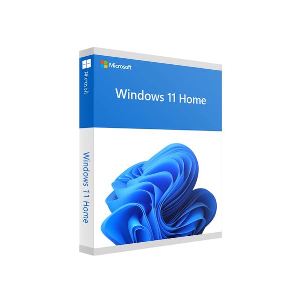 Microsoft Windows 11 Home 64-bit DSP