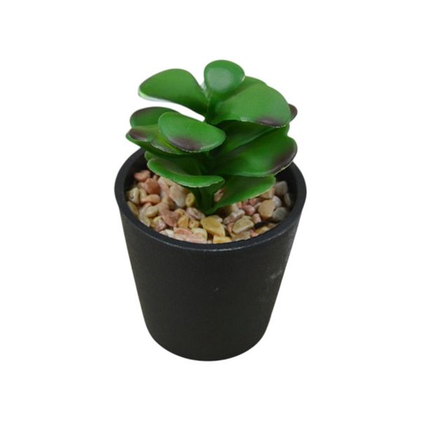 Realistic Mini Faux Succulent Plant - Black