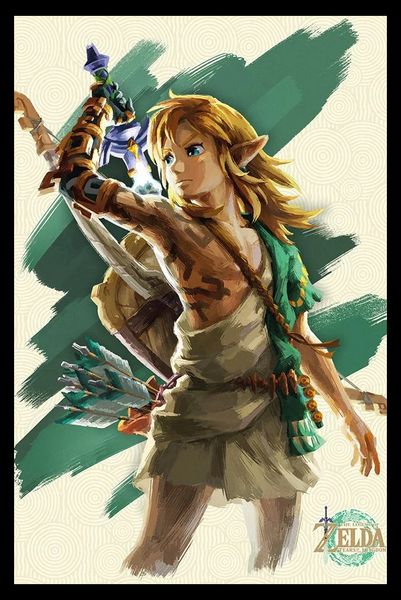 The Legend Of Zelda: (Link Unleashed) Poster with Black Frame