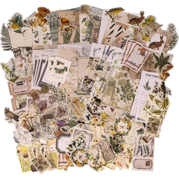 La Laila Scrapbook Journal Supplies Pack Ephemera Stickers B - 260 Pieces