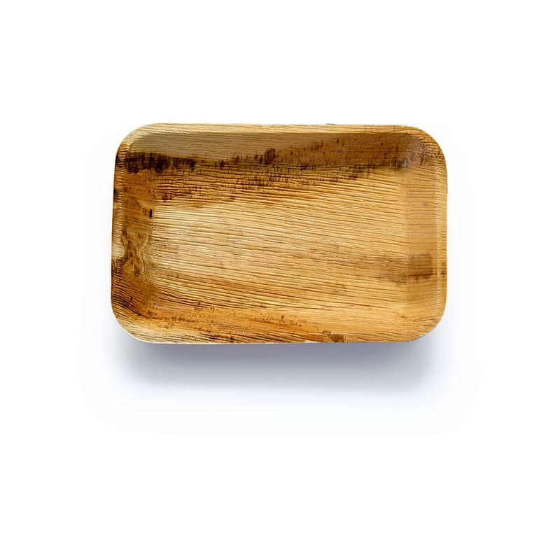 organic-disposable-areca-leaf-rectangular-plates-6-piece-buy-online