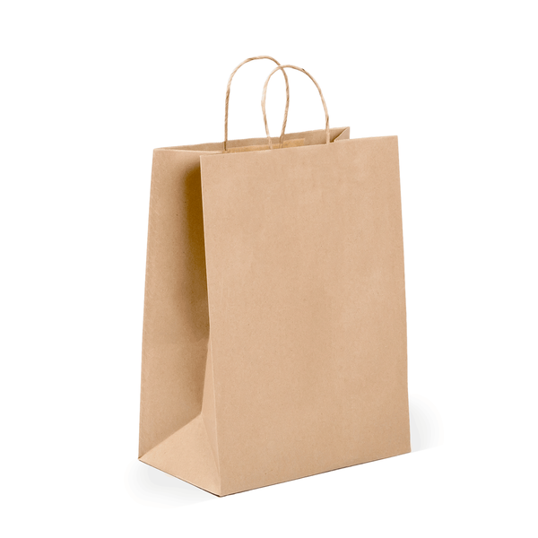 Craft Paper Luxury Gift Bags - Mini - Rope Handles (15 Pack)