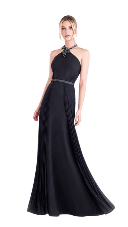 Elegant Halter Chiffon Evening Dress Shop Today Get It Tomorrow 3720