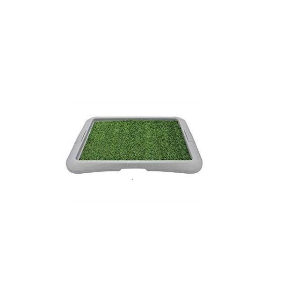 Dog Toilet, Plastic Pet Tray with Double Bottom for Small Medium Dogs