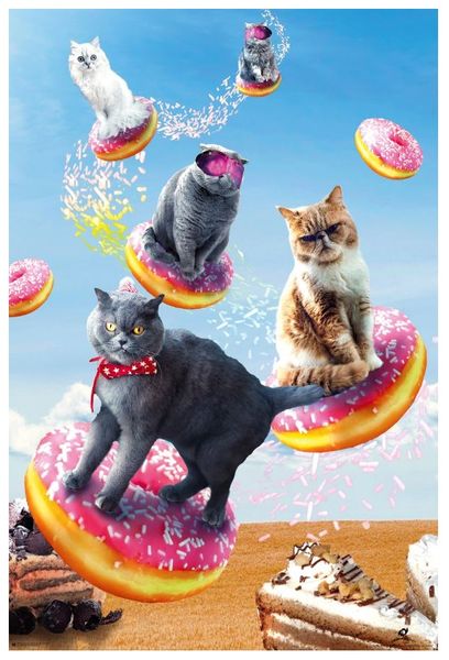 Random Galaxy - Cats Riding Donuts Poster