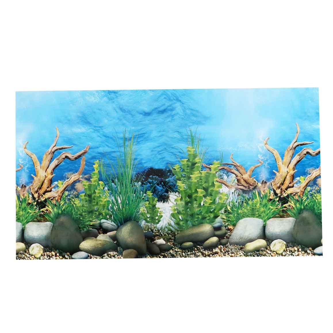 Fish Tank Background Poster - 50cm x 29cm - Poster A | Buy Online in South  Africa 
