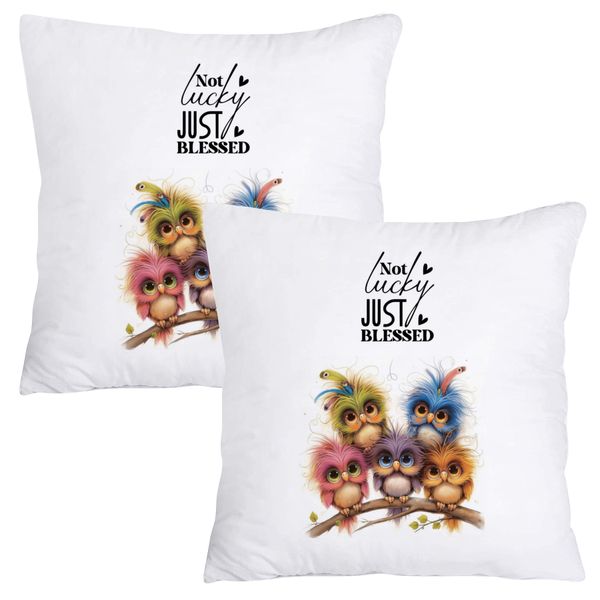 Scatter Cushion Cover Set - Not Lucky, Just Blessed