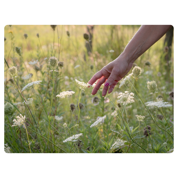 Girl Playing With Field Flowers Mouse Pasd
