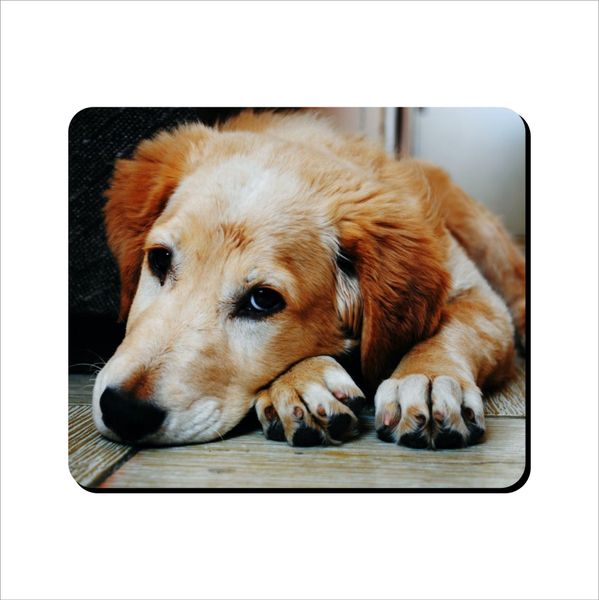 Mouse Pad - Cute Lab
