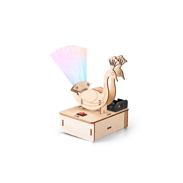 STEM Peacock Night Light - CH2057