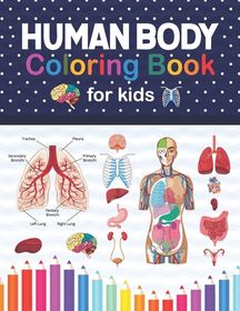 Human Body Coloring Book For Kids: Human Body Anatomy Coloring Book For ...