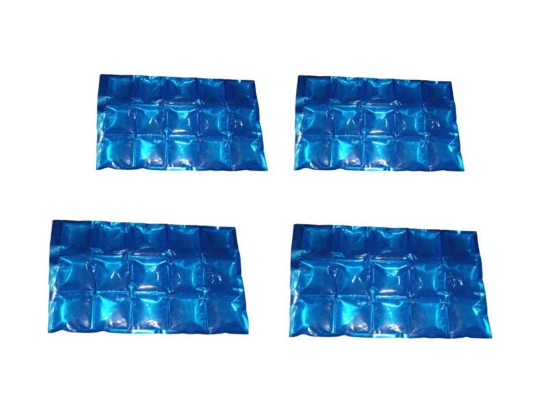 Camping Ice Packs - Set of Four