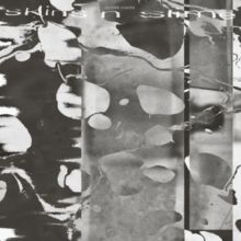 Skins N Slime (Vinyl / 12" Album)