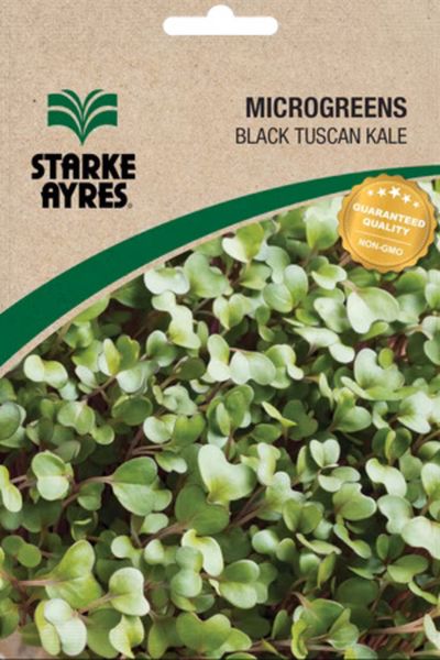 Starke Ayres Black Tuscan Kale