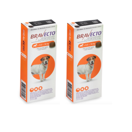 Bravecto Chewy Tablet for Small Dog 4.5 10Kg 2 Pack Shop Today. Get it Tomorrow takealot