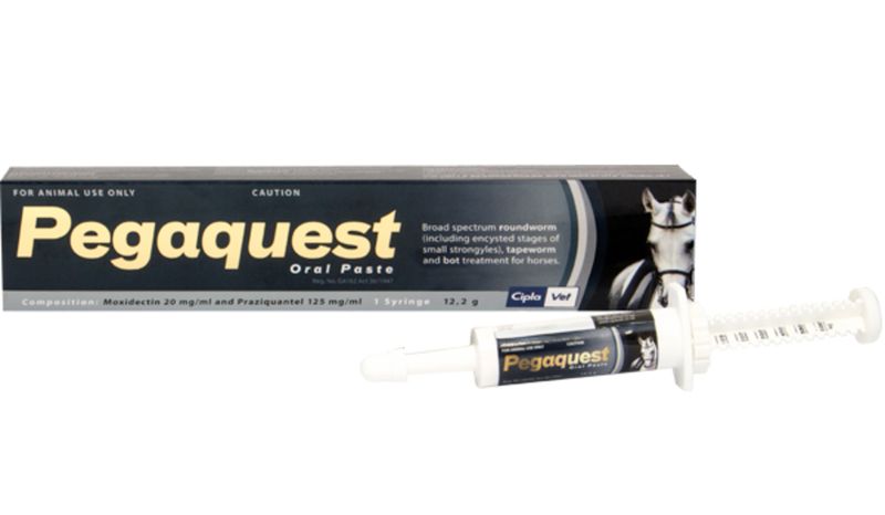 Pegaquest Paste for Horses 12.2g