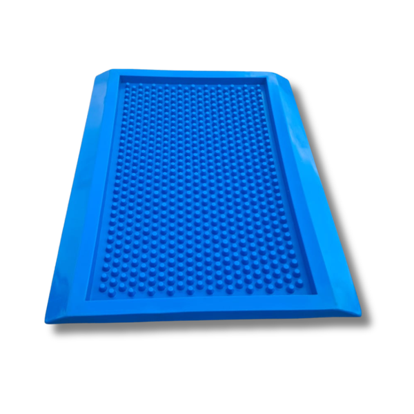 Sinvac - Bio Safety Mat Heavy-Duty Boot/Shoe Sanitising Mat - Blue