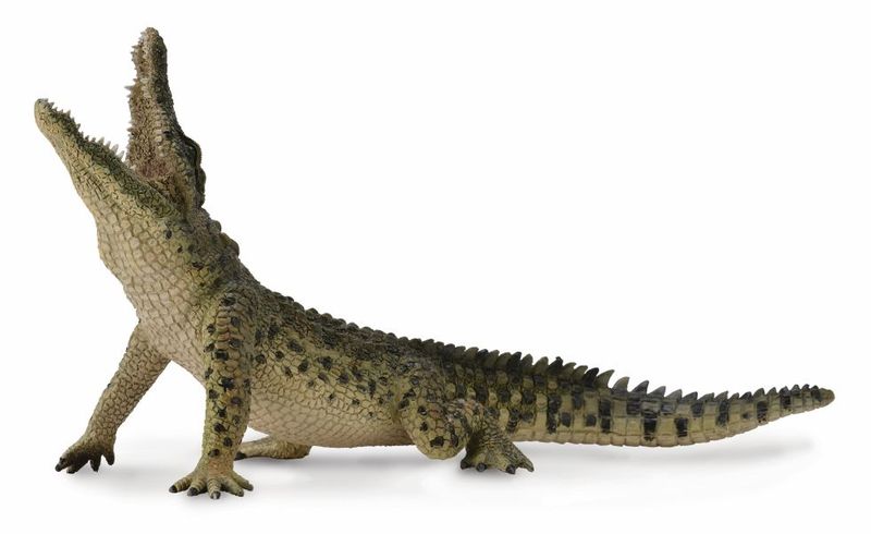 Collecta Wildlife Xl Nile Crocodile