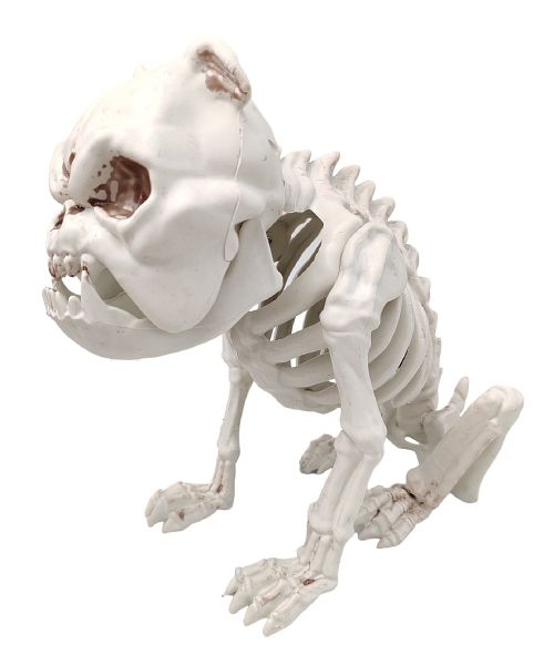 Halloween Dog Skeleton With Adjustable Jaw 30cm - Umlozi