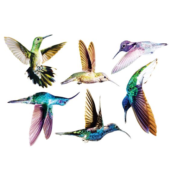 MeiView Window Decals (Not Stickers) - Hummingbird Set 2