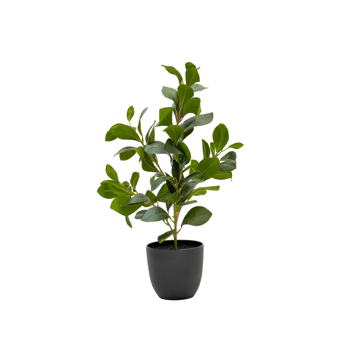 Artificial Plant In Pot H51cm Shop Today. Get it Tomorrow