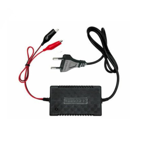 12V Battery Intelligent Charger