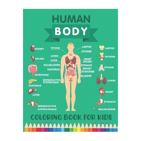 Download Human Body Coloring Book For Kids Over 30 Human Body Parts Coloring Book Human Anatomy Physiology Coloring Book Biology Coloring Book Children Buy Online In South Africa Takealot Com