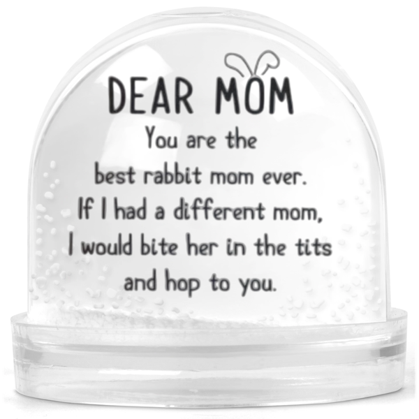 You're The Best Rabbit Mom Ever Gift Snow Globe
