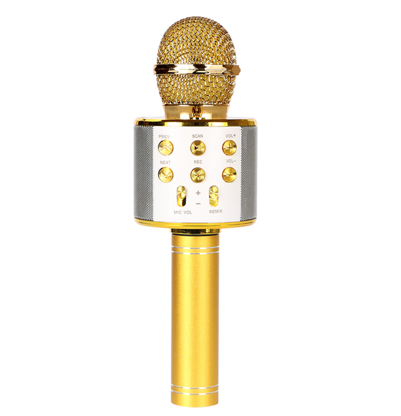 Karaoke Microphone Rechargeable Handheld Microphone Plus Inyati Gift Card