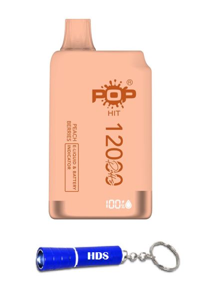 Pop Hit 12000 Puff 50mg Disposable Vape - Peach Berries with HDS Torch