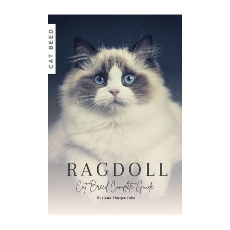 Ragdoll Cat - Cat Breed Guide