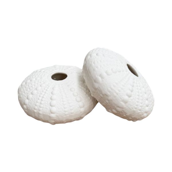 2 Piece Ceramic Urchin Shell Pot - 10cm