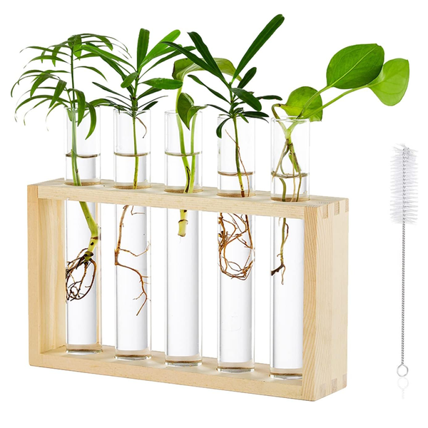 5 Glass Planter with Wooden Stand Desktop Plant Terrarium Hydroponic Vase