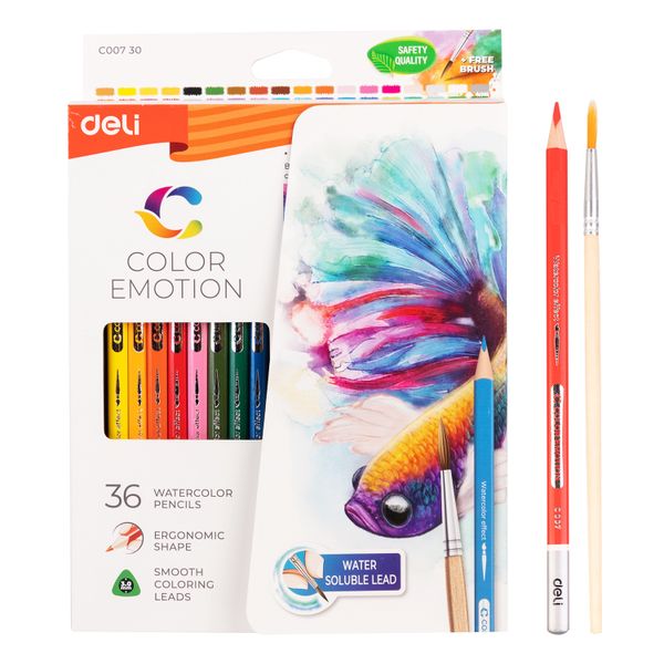 Deli Water Coloured Pencil 36 Colours Triangular Art