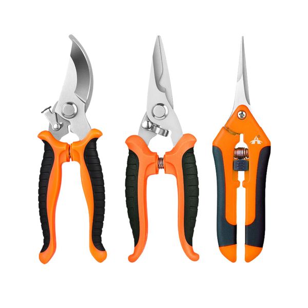 Orange image