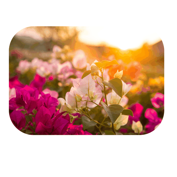 Soft Sunset Flowers Printed Mouse Pad